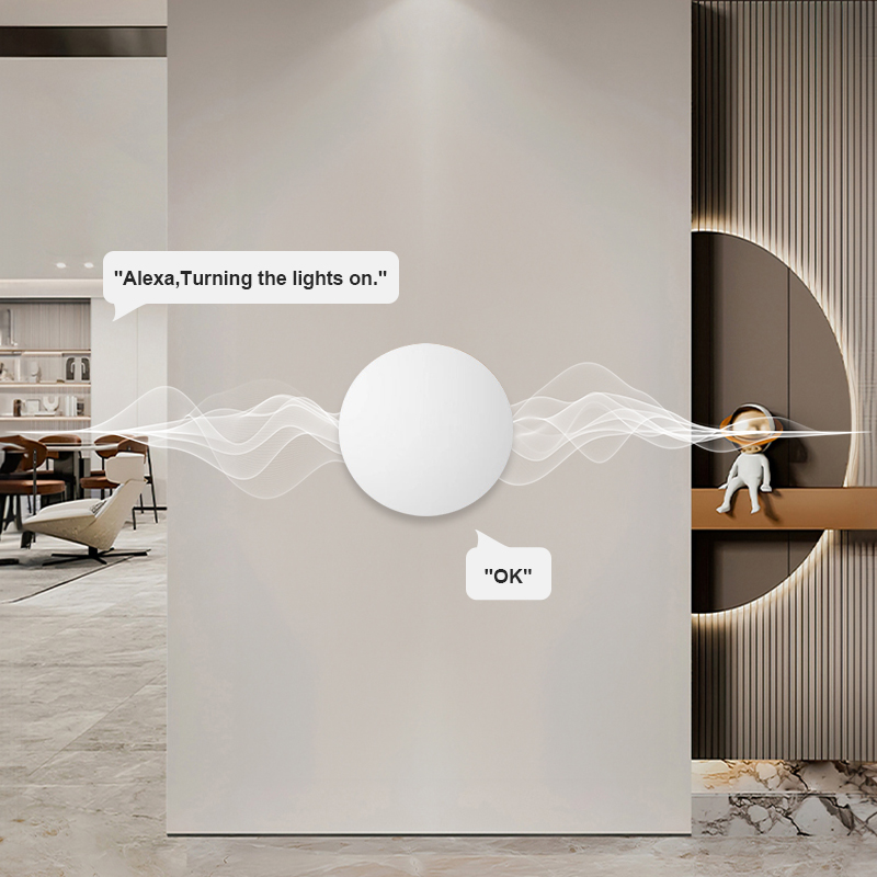 زر ذكي لاسلكي ZigBee للتحكم في - مراجعة Smart Home Voice Assistant وسعره